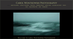Desktop Screenshot of carolwontkowski.com
